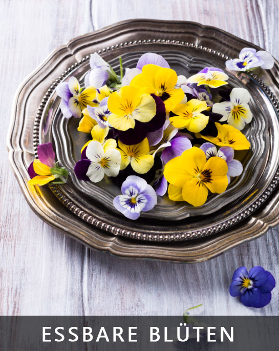 Essbare Blüten 