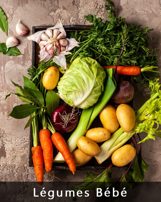 Légumes Bébé