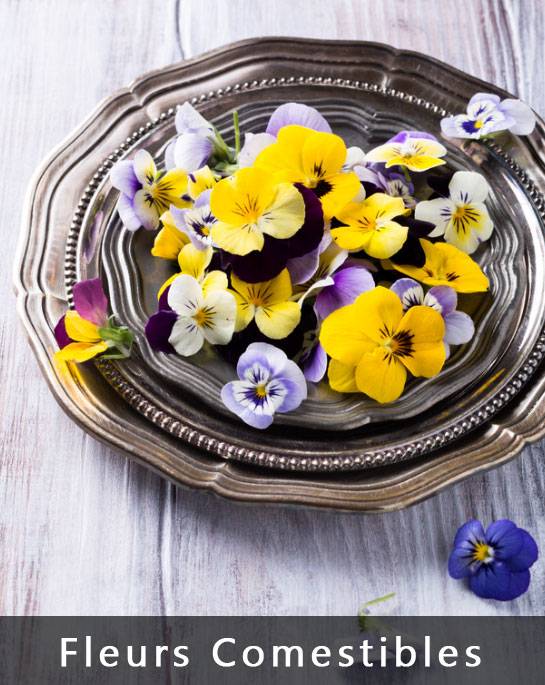 Fleurs Comestibles