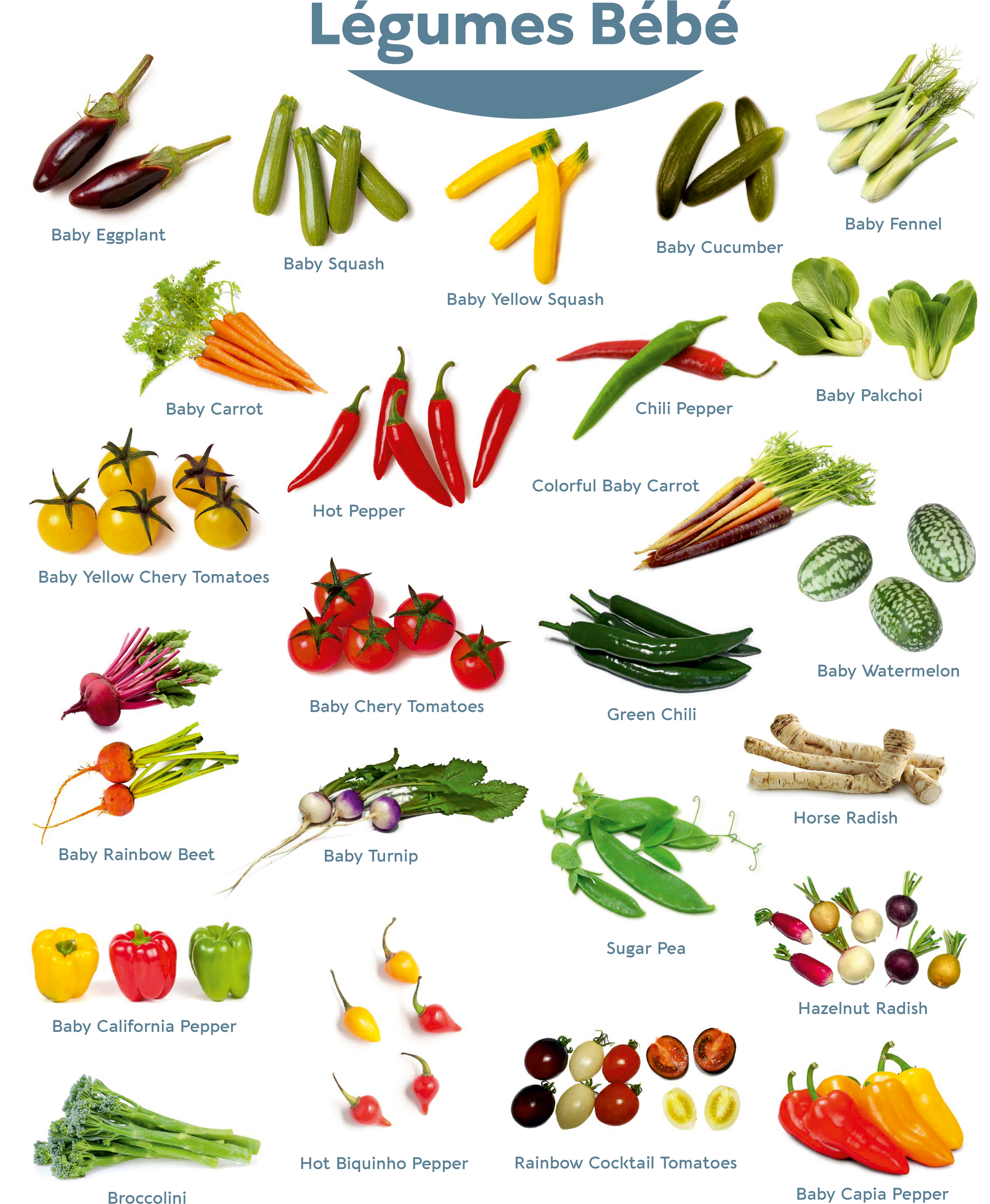 Baby Vegetables