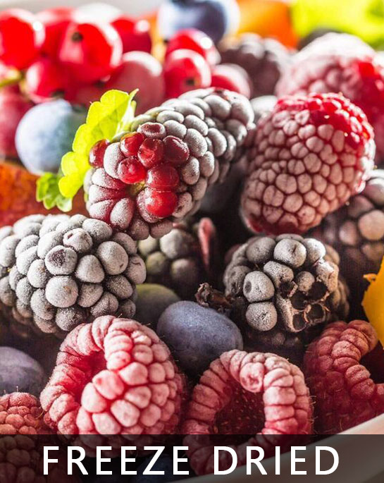 Freeze Dried