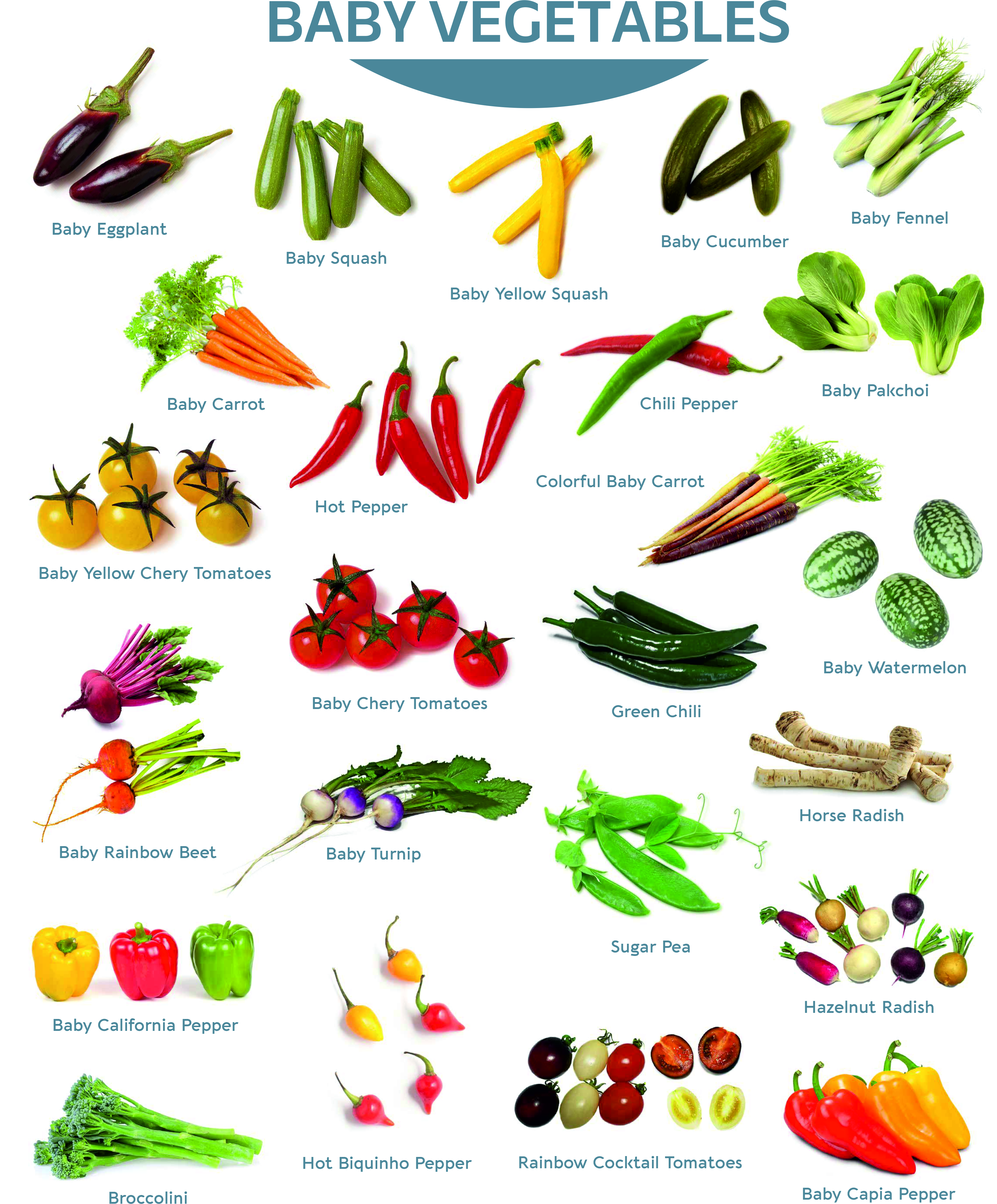 Baby Vegetables